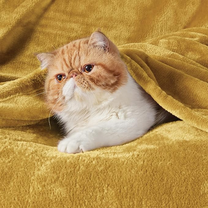 Bedsure GentleSoft Fleece Blanket Twin Size Yellow - Image 2