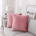 NiNi ALL Decorative Throw Pillow Covers Velvet 16x16 Inch Pack of 2 Pink by NiNiALL