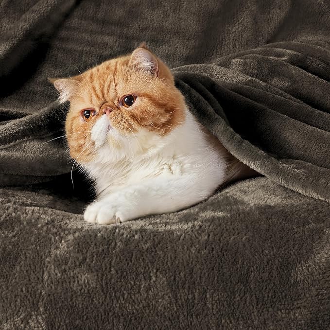 Bedsure GentleSoft Fleece Blankets Queen Size Brown - Image 2