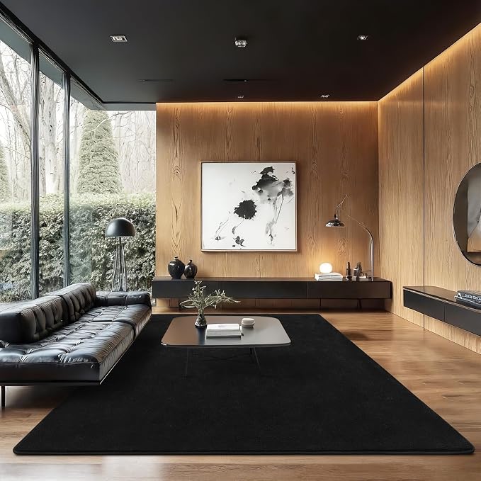 Soft Rugs for Living Room 5x7 Black, Minimalist Area Rug for Bedroom Nursery - Image 2