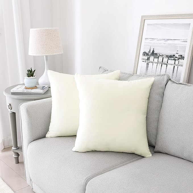 NiNi ALL Decorative Throw Pillow Covers Velvet 26x26 Inch Pack of 2 Cream White by NiNiALL