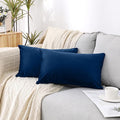 NiNi ALL Decorative Throw Pillow Covers Velvet 20x30 Inch Pack of 2 Dark Blue by NiNiALL