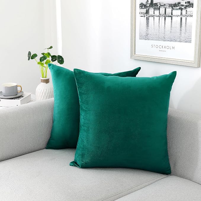 NiNi ALL Decorative Throw Pillow Covers Velvet 22x22 Inch Pack of 2 Teal by NiNiALL