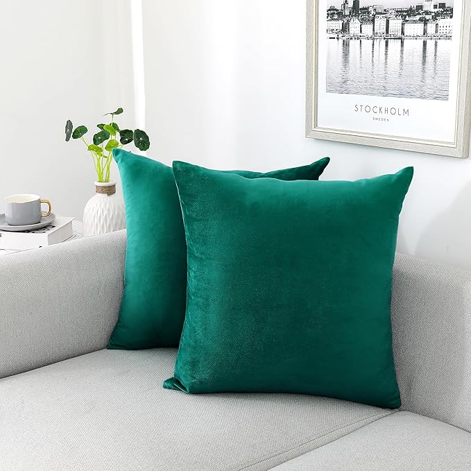 NiNi ALL Decorative Throw Pillow Covers Velvet 16x16 Inch Pack of 2 Teal by NiNiALL