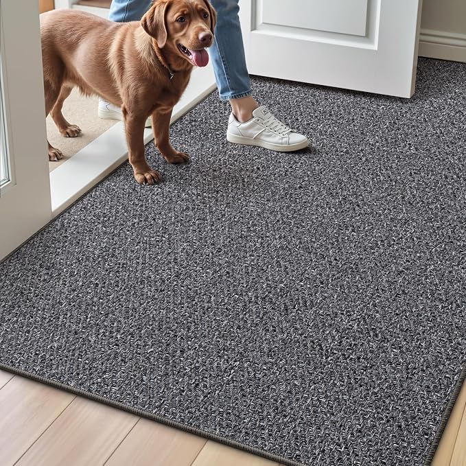 LUMI Ultra Thin Indoor Door Mat by LUMI