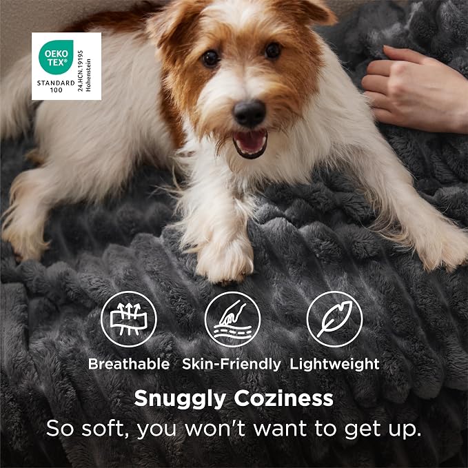 Bedsure Grey Fleece Throw Blanket - Image 2