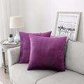 NiNi ALL Decorative Throw Pillow Covers Pack of 2, Velvet Throw Pillow Cases by NiNiALL