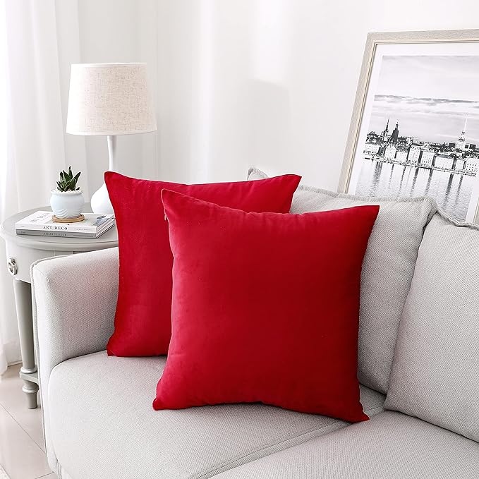 NiNi ALL Decorative Throw Pillow Covers Pack of 2, Velvet Throw Pillow Cases by NiNiALL