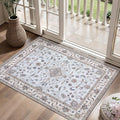 Tangsoo 2x3 Small Rug for Entryway, Washable Area Entry Rugs Non Slip, Low Pile by Tangsoo