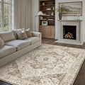 PureCozy Brown Area Rug 6x9 Vintage Washable Distressed Living Room Carpet by PureCozy