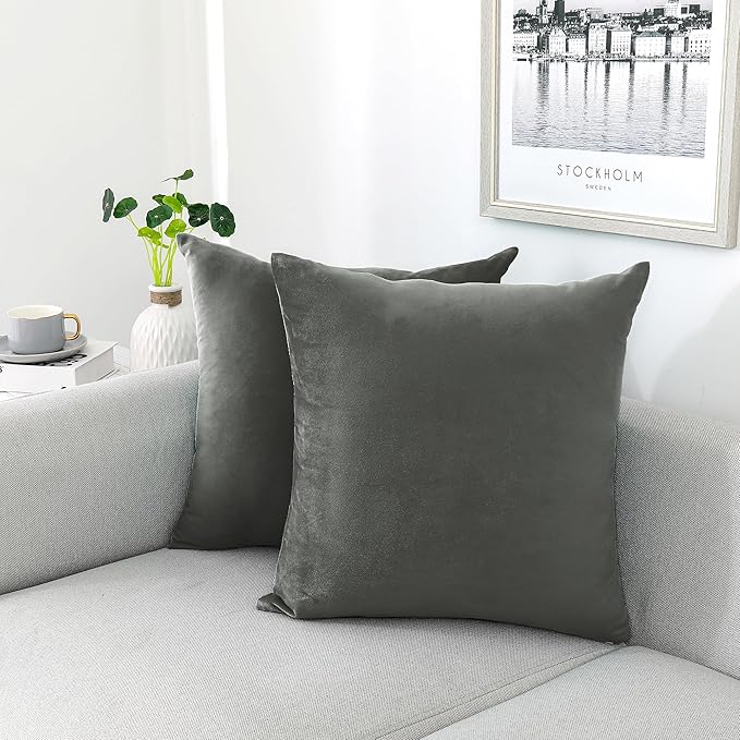 NiNi ALL Decorative Throw Pillow Covers Velvet 20x20 Inch Dark Grey Pack of 2 by NiNiALL
