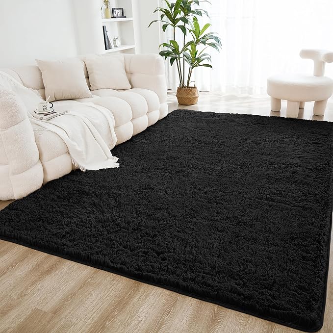 Litanika 3x5 Shag Area Rug for Living Room Bedroom, Non-Shedding Modern Indoor by Litanika