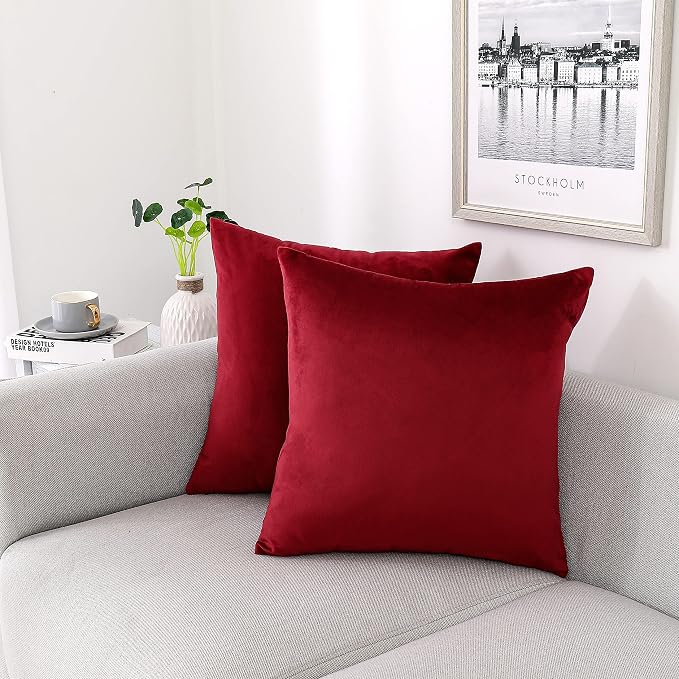 NiNi ALL Decorative Throw Pillow Covers Velvet 22x22 Inch Pack of 2 Burgundy by NiNiALL