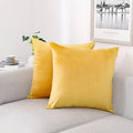 NiNi ALL Decorative Throw Pillow Covers Velvet Soft by NiNiALL