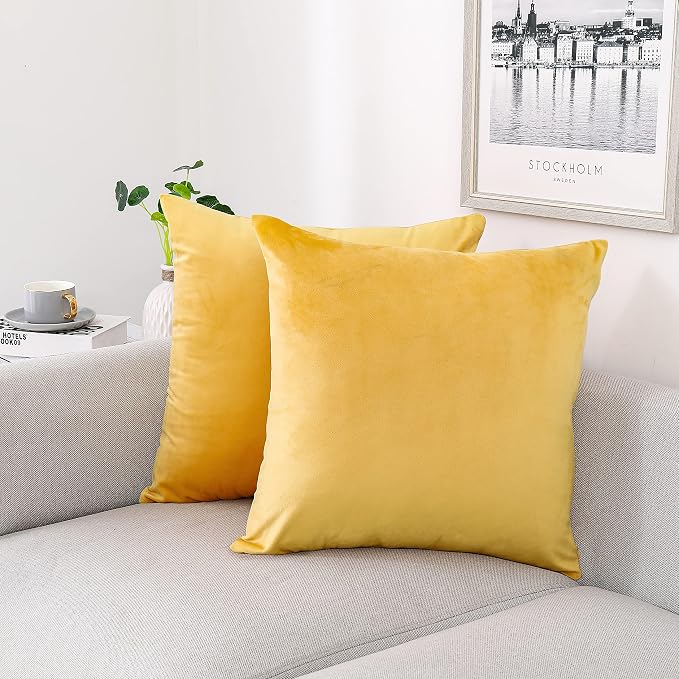 NiNi ALL Decorative Throw Pillow Covers Velvet Soft by NiNiALL
