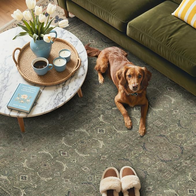 GENIMO 6x9 Area Rugs for Living Room, Machine Washable Non Slip Vintage Rugs - Image 3