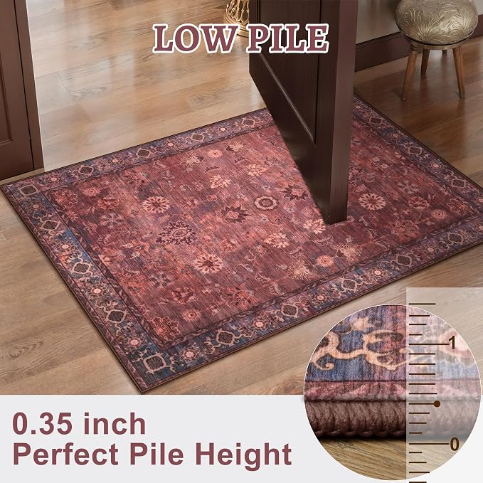 Tangsoo 2x3 Small Throw Rugs for Entryway Washable Entry Rug Non Slip, Vintage - Image 3