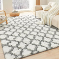 Litanika 5x8 Geometric Shag Area Rug by Litanika