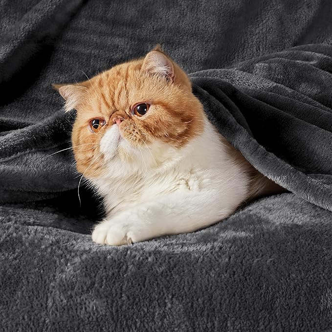 Bedsure GentleSoft Fleece Blanket California King Size Charcoal - Image 3