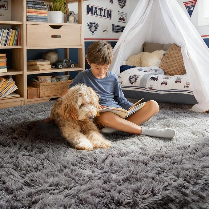 PAGISOFE Grey Area Rugs for Living Room Bedroom Rug 5x8 Rugs Soft Plush Fluffy - Image 5