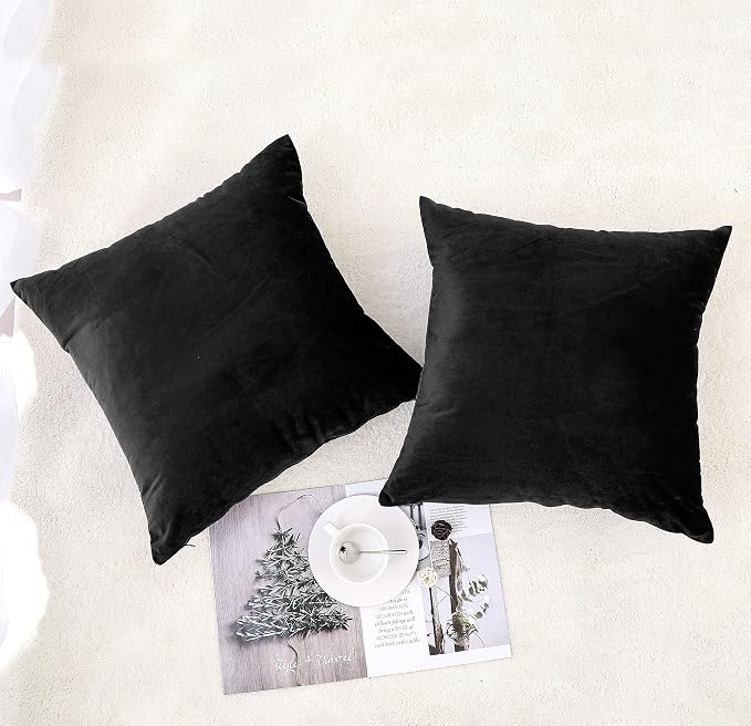 NiNi ALL Decorative Throw Pillow Covers Pack of 2 Velvet Throw Pillow Cases - Image 3