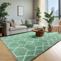 ONASAR Rugs for Living Room Bedroom, 5x8 Fluffy Sage Green and White Area Rug by ONASAR