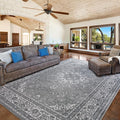Area Rug for Living Room, 5x7Ft Non-Slip Vintage Area Rug, Machine Washable by Rtizon