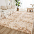 Litanika 4x6 Shag Area Rug for Living Room Bedroom, Tie-Dyed Beige High Pile by Litanika