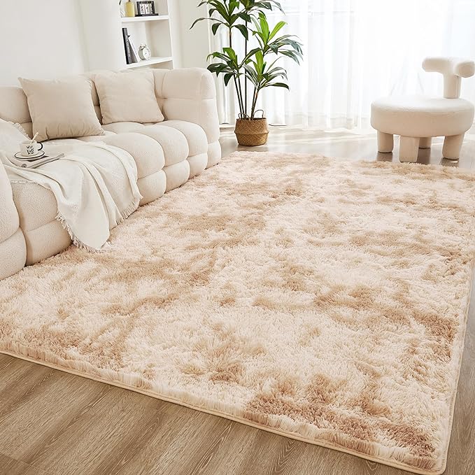 Litanika 4x6 Shag Area Rug for Living Room Bedroom, Tie-Dyed Beige High Pile by Litanika