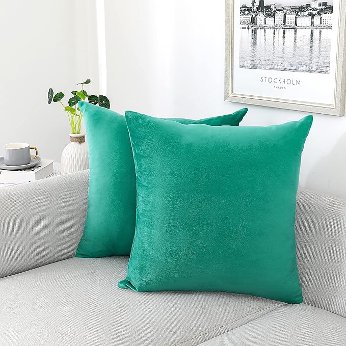 NiNi ALL Decorative Throw Pillow Covers Velvet Soft by NiNiALL