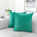 NiNi ALL Decorative Throw Pillow Covers Velvet Soft by NiNiALL