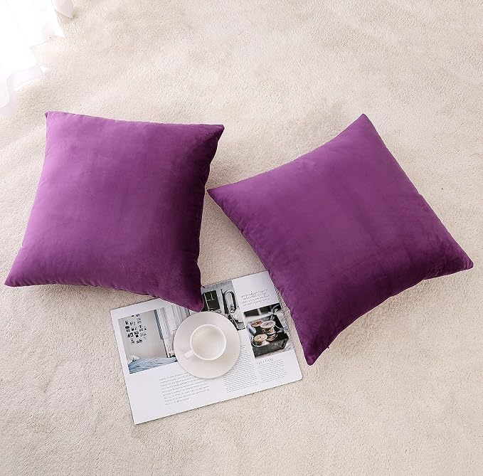NiNi ALL Decorative Throw Pillow Covers Pack of 2, Velvet Throw Pillow Cases - Image 2
