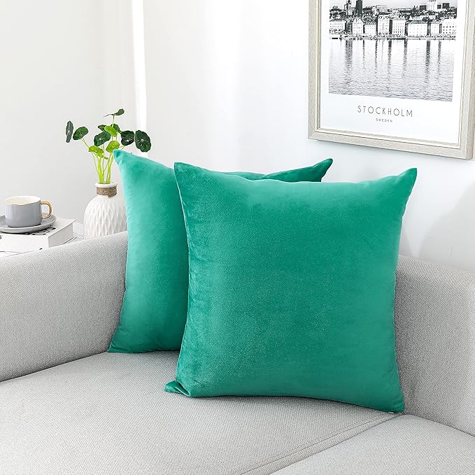 NiNi ALL Decorative Throw Pillow Covers Velvet 22x22 Inch Pack of 2 Aqua Green by NiNiALL