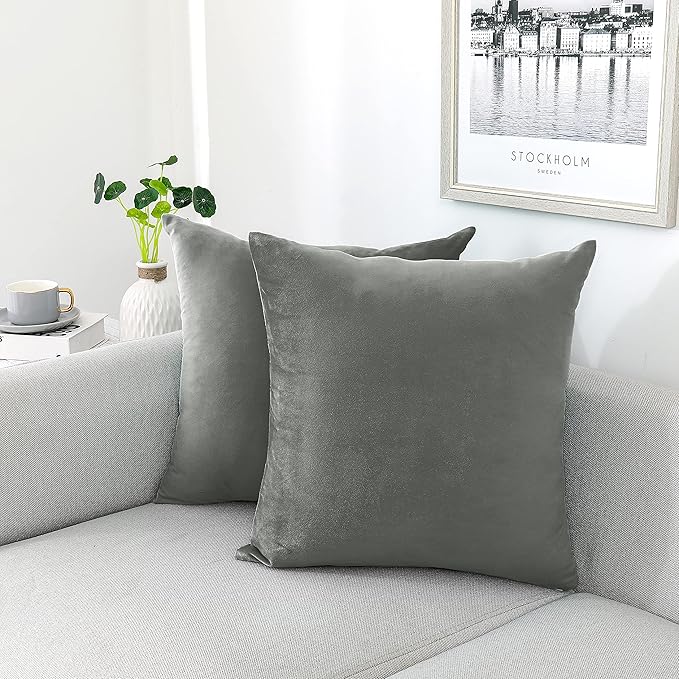 NiNi ALL Decorative Throw Pillow Covers Pack of 2, Velvet Throw Pillow Cases by NiNiALL
