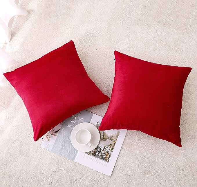 NiNi ALL Decorative Throw Pillow Covers Pack of 2, Velvet Throw Pillow Cases - Image 2