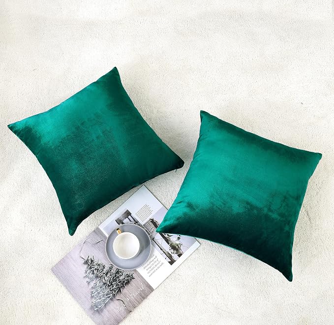 NiNi ALL Decorative Throw Pillow Covers Velvet Soft - Image 3
