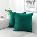 NiNi ALL Decorative Teal Throw Pillow Covers Pack of 2 Velvet 12x12 Inch Throw by NiNiALL