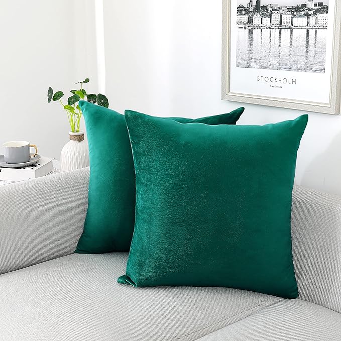 NiNi ALL Decorative Throw Pillow Covers Velvet Soft by NiNiALL
