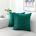 NiNi ALL Decorative Throw Pillow Covers Velvet Soft by NiNiALL