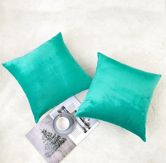 NiNi ALL Decorative Throw Pillow Covers Velvet Soft - Image 3