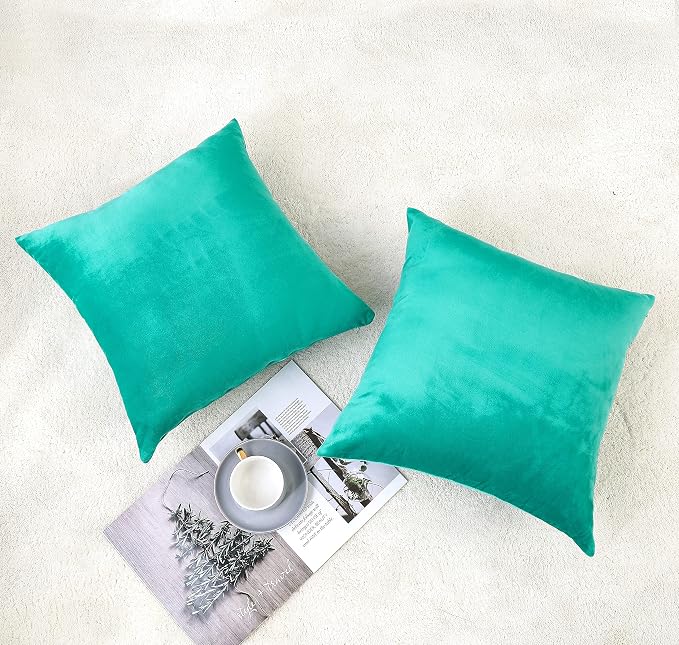 NiNi ALL Decorative Throw Pillow Covers Velvet Soft - Image 2